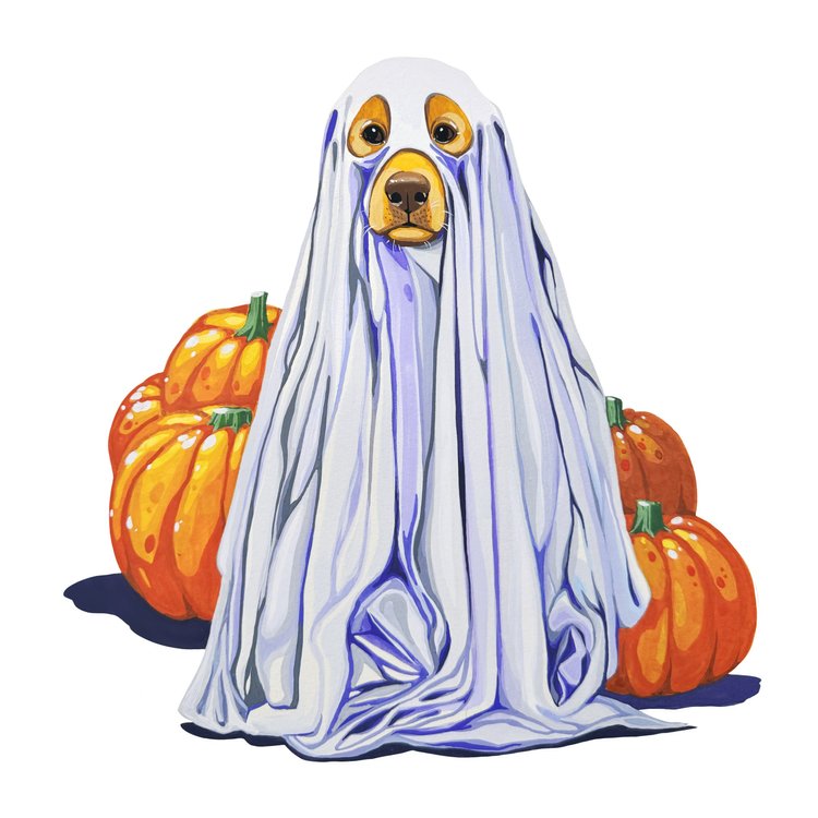 Illustration de chien fantôme par La Petite Ruse