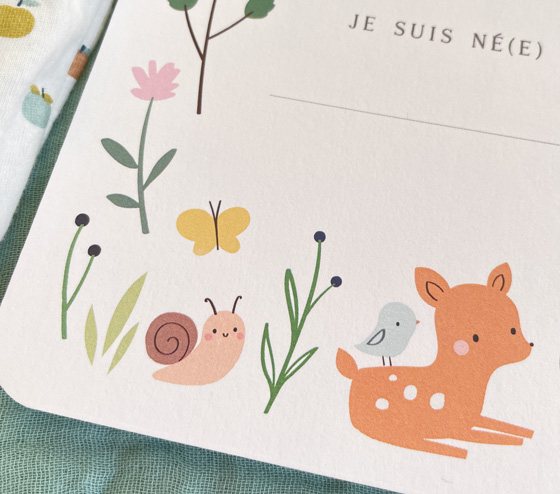 Sarah Betz illustratrice Cubeely, faire-part de naissance personnalisable